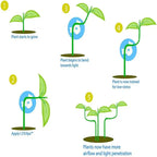 Plant Branches Bender Training Clips Garden Stem Trainer Clips 360 Degree Adjustable Planter Holder for Low Stress Training Tool