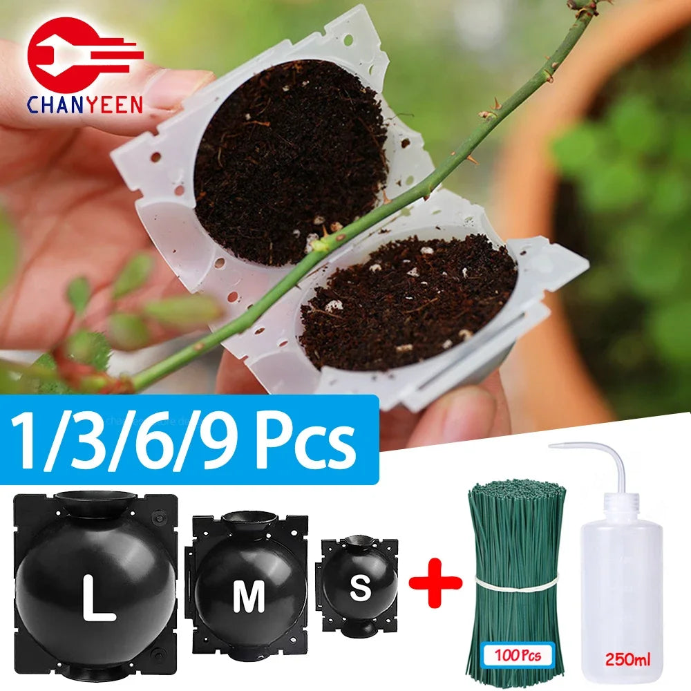 Reusable Plant Rooting Ball Transplant Nursery Ball Sapling Propagation Grafting Breeding Case for Home Gardening Accesorries