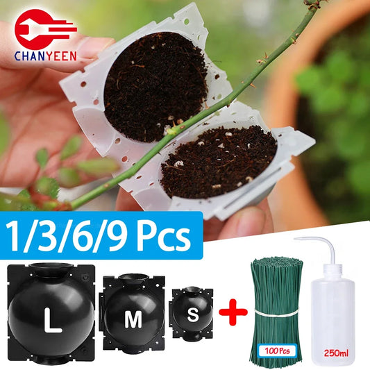 Reusable Plant Rooting Ball Transplant Nursery Ball Sapling Propagation Grafting Breeding Case for Home Gardening Accesorries
