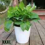 Lazy Plants Flower Pot Imitation Porcelain Home Garden Decor Automatic Water Absorption Self Watering Pot For Plants