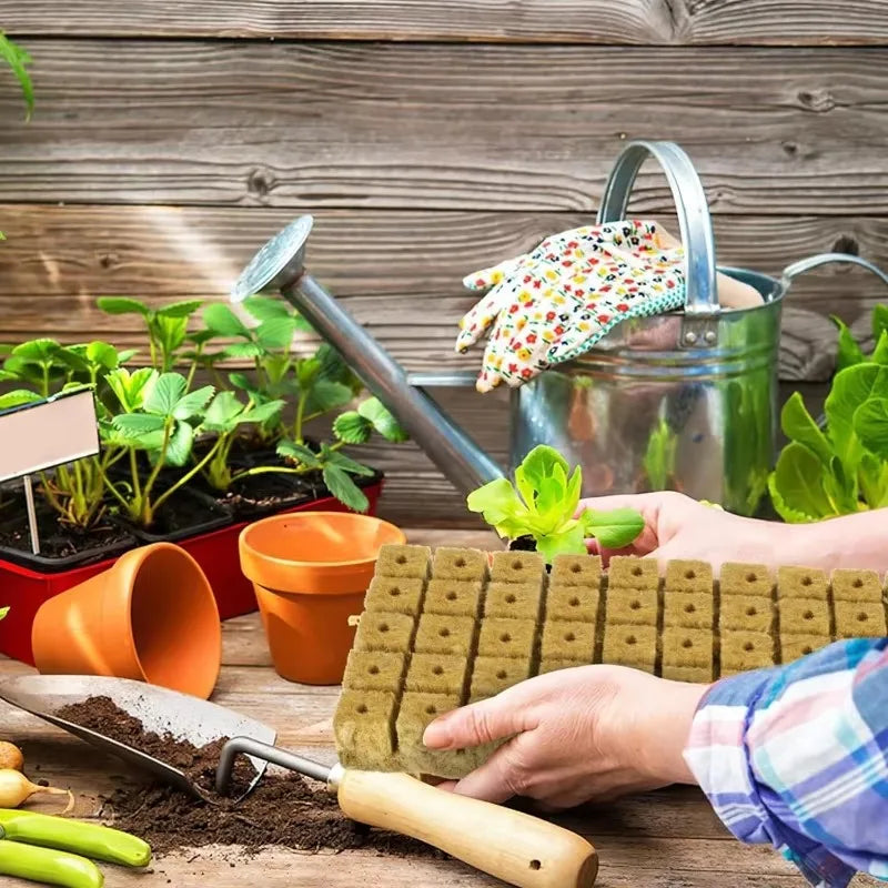 Sponge Block Starter Plug Rock Wool Grow Cubes Seedling Starter Plant Cube Hydroponic Media Plug Greenhouse Garden Nursery Pots