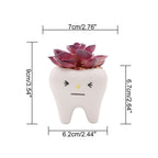 Cute Tooth Flowerpots Ceramic Garden Pots Planters Succulent Cactus Vases Decor Home Garden Decorative Tabletop Plant Pot