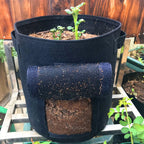 10 Gallon 7 Gallon Potato Planting Bag Non-Woven Fabric Grow Pot Home Garden Strawberry Plant Grow Bag Push System