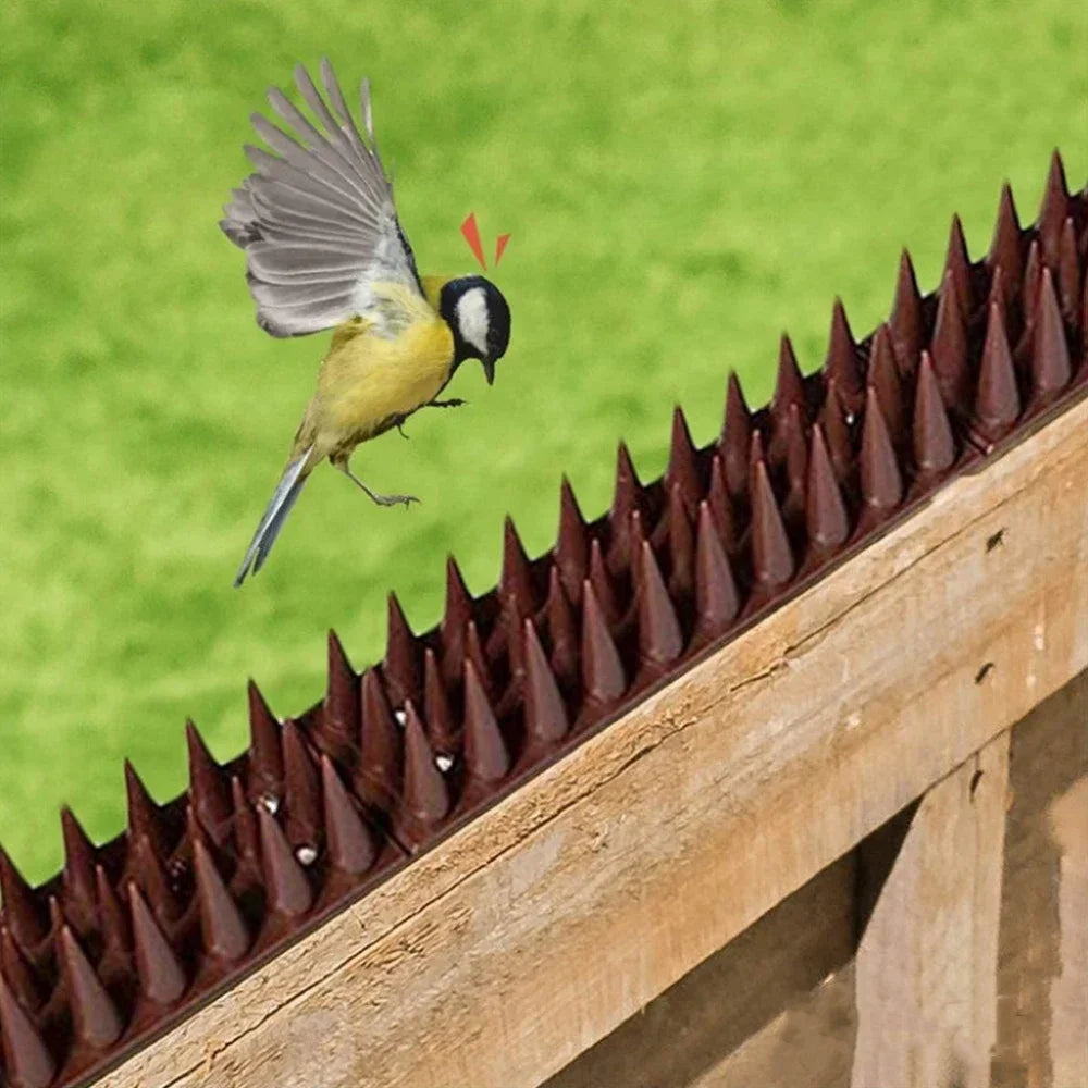 Fence Wall Spikes Anti Bird Spikes Anti-theft Spikes Anti Climbing Spikes Pigeon Destroyers Anti-theft Cats Anti Bird Spikes Tie