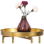 Tray Metal End Table, Gold Round Foldable Side Table Small Decorative Sofa Snack Coffee Plant Stand Table (Golden Tray)