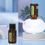 Mini Pure Oil Fragrance Diffuser Aromatherapy Machine Car Air Freshener USB Automatic Spraying Room Fragrance Diffusers