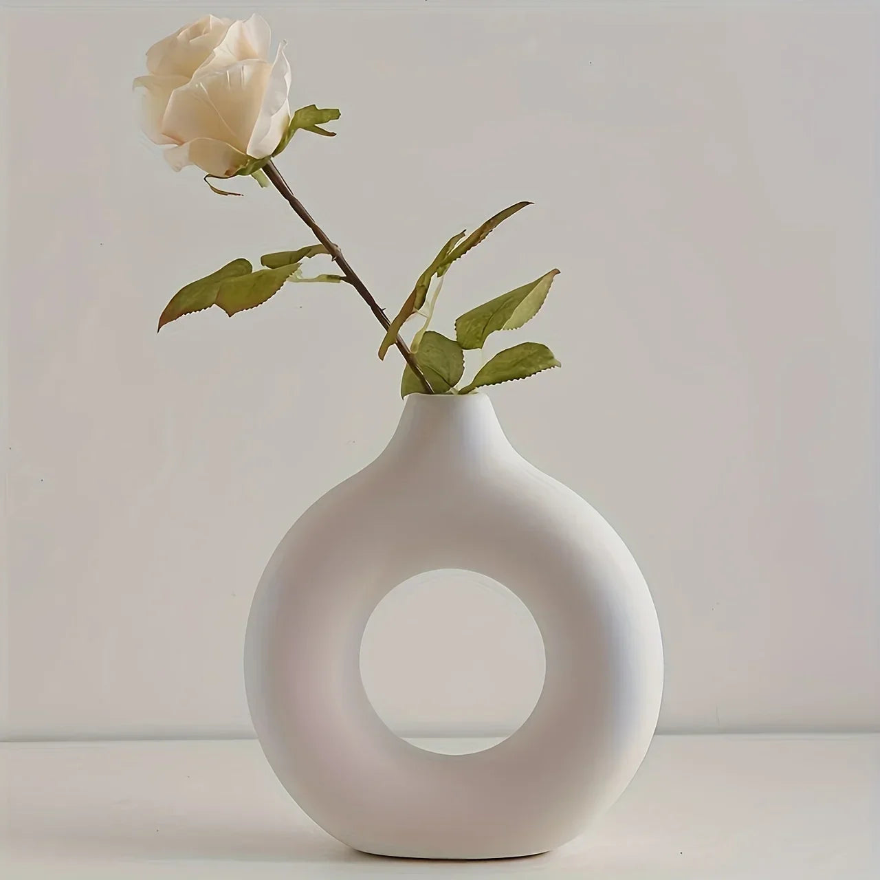 Bohemian Round Plastic Vase for Home and Living Room Decoration,Floral Arrangements and Table,Light Luxury Decoration White pot