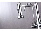 Nell Double Table Gourmet Kitchen Faucet