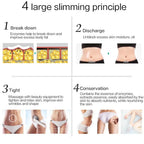 3in1 Weight Loss Slim Electric Massager Far Infrared Microcurrent