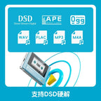 New Fiio Snowsky Echo Mini Wireless Bluetooth Mp3 Mini Walkman 8GB Custom Support Dsd Retro Portable Bluetooth Player Music Gift