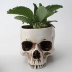 Resin Human Skull Model Flower Pot Shining Fancy Multifunctional Fruit Plate Storage Container Tank Container Home Decor Crafts