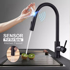 Black Pull-Out Sensor Kitchen Faucet - Touch Control Mixer Tap