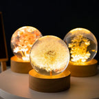 3D Dandelion Crystal Ball LED Night Light with Beech Wood Stand Preserved Flower Sphere Ball Resin Craft Home Decor Bithday Gift
