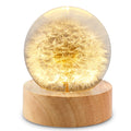3D Dandelion Crystal Ball LED Night Light with Beech Wood Stand Preserved Flower Sphere Ball Resin Craft Home Decor Bithday Gift