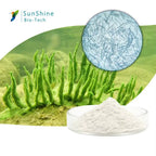 Algae Peeling Whitening Melasma Peel Kit – Natural Seaweed Extract Mask