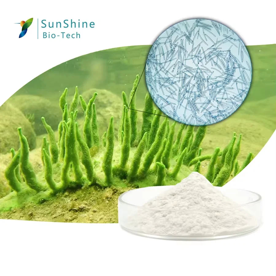 Algae Peeling Whitening Melasma Peel Kit – Natural Seaweed Extract Mask