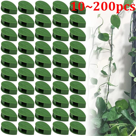 10~200pcs Invisible Plant Climbing Wall Fixture Rattan Vine Bracket Fixed Buckle Leaf Clips Traction Holder Garden Plant Support