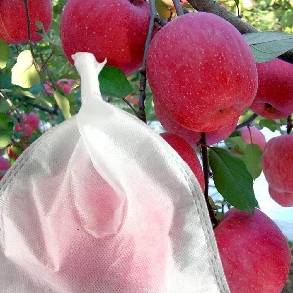 20/50/100Pcs Fruit Protection Bag Plant Grow Bags Non-woven Fabric for Grapes Vegetable Apples Pouch Mesh Bag Garden Tools