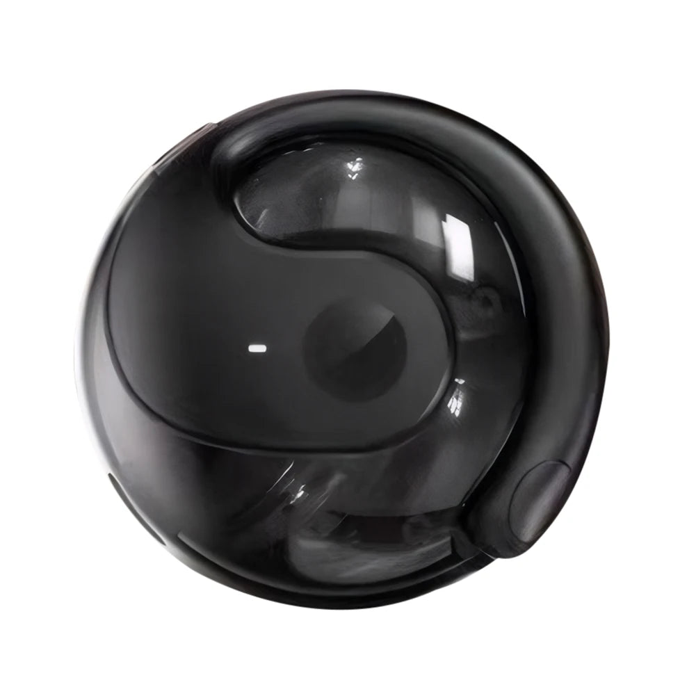 Wireless BT AI Real-time Language Translation Earphones 144 Languages Translator Earbuds for Travel Business and Learning