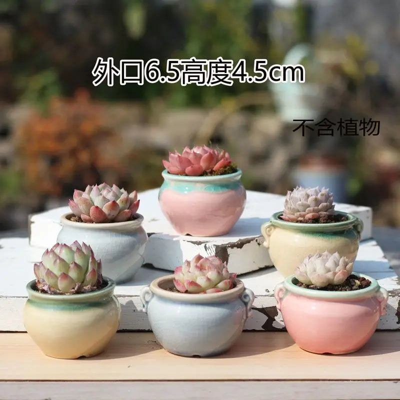 Combination Ceramic Breathable Small Flowerpot Cute Thumb Succulent Plant Flowerpot Home Mini Garden Bonsai Potted Flower Pot