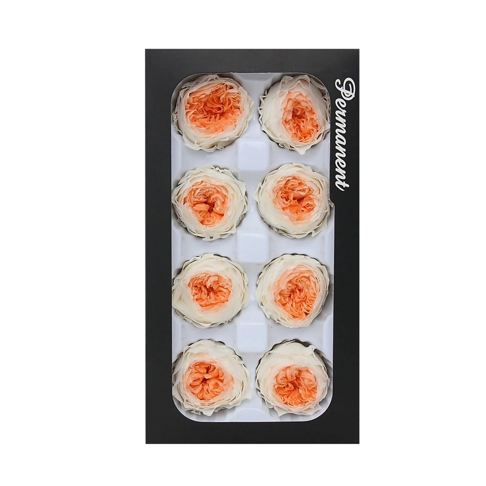 Eternal Life Flower A Level 4 5cm Key Chain Car Hanging Gift Box Flower Material Bridal Headwear Dry Autumn Flowers