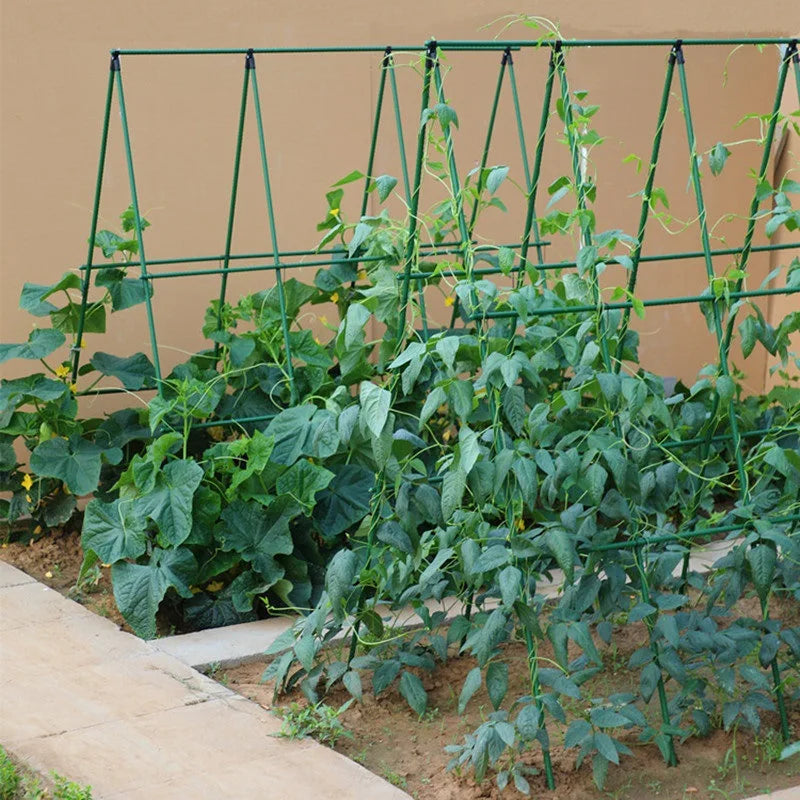 Garden A-Frame Vegetable Plant Climbing Frame Kit Grow Supports Fit Climbing Rustproof Vine Cucumber Trellis Tomatoes Grapes