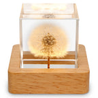 3D Dandelion Crystal Ball LED Night Light with Beech Wood Stand Preserved Flower Sphere Ball Resin Craft Home Decor Bithday Gift