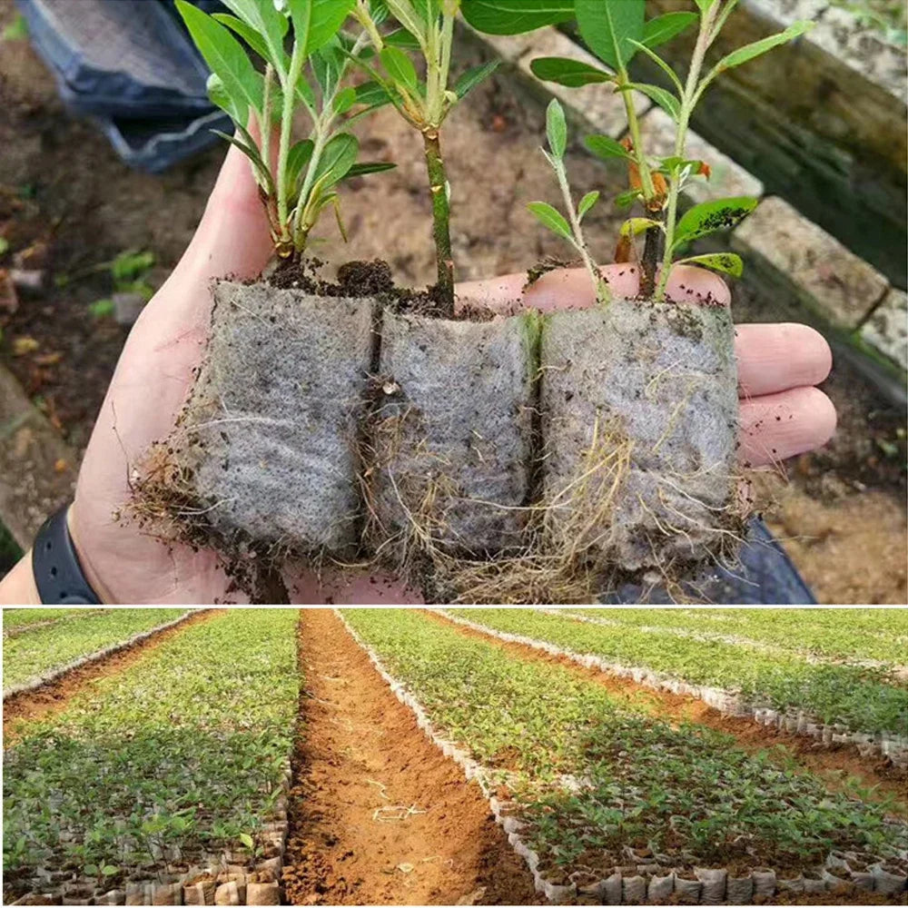 100-200Pcs Nursery Bags Plant Grow Bags Biodegradable Non-woven Fabric Seeds To Sow Flower Pot For Home Garden Accessories Tools