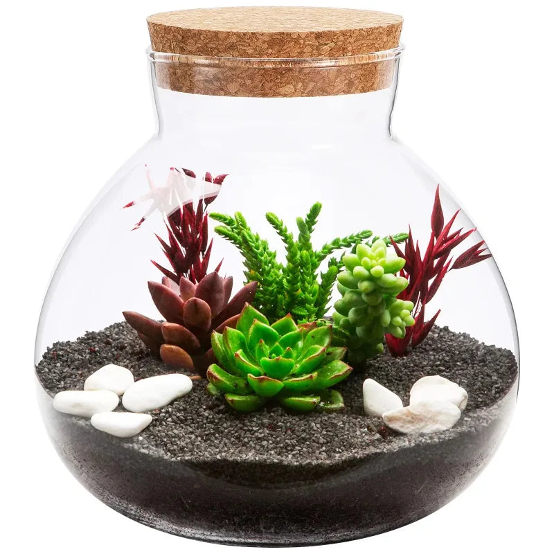 Micro Landscape Ecological Bottle Terrarium Jar Large Kit Moss Plant Drink Containers Fish Tank Planter Home Decor Glass