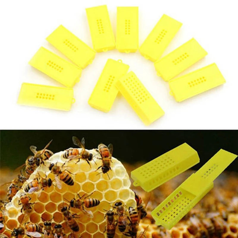 100 Pcs Bee Tools Beekeeping Transport Cages Queen Bee Cages Bee Hive Yellow Bee Isolated Cage Beekeeping