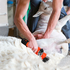 [6 gears adjustable speed] 1200W 110V/220V Electric Shearing Sheep Shear Animal Trimmer Cutter Hair Wool Scissor