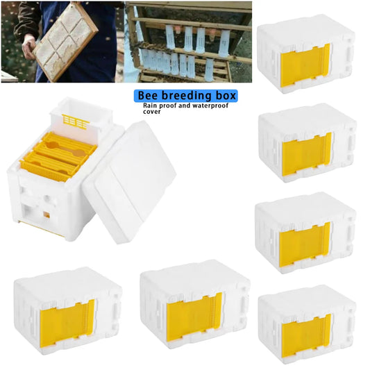 Bee Hive Frame Holder Equipment Kit Bee Hive Foam Beekeeping Box King Beehive Garden Bee Keeping Bee Tool Nest Case
