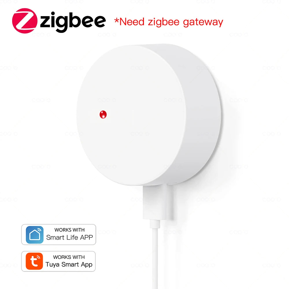 ZigBee Wifi MmWave Human Presence Motion Sensor Radar Wave Human Detector Motion Detector Tuya Hub Smart Life Home Automation
