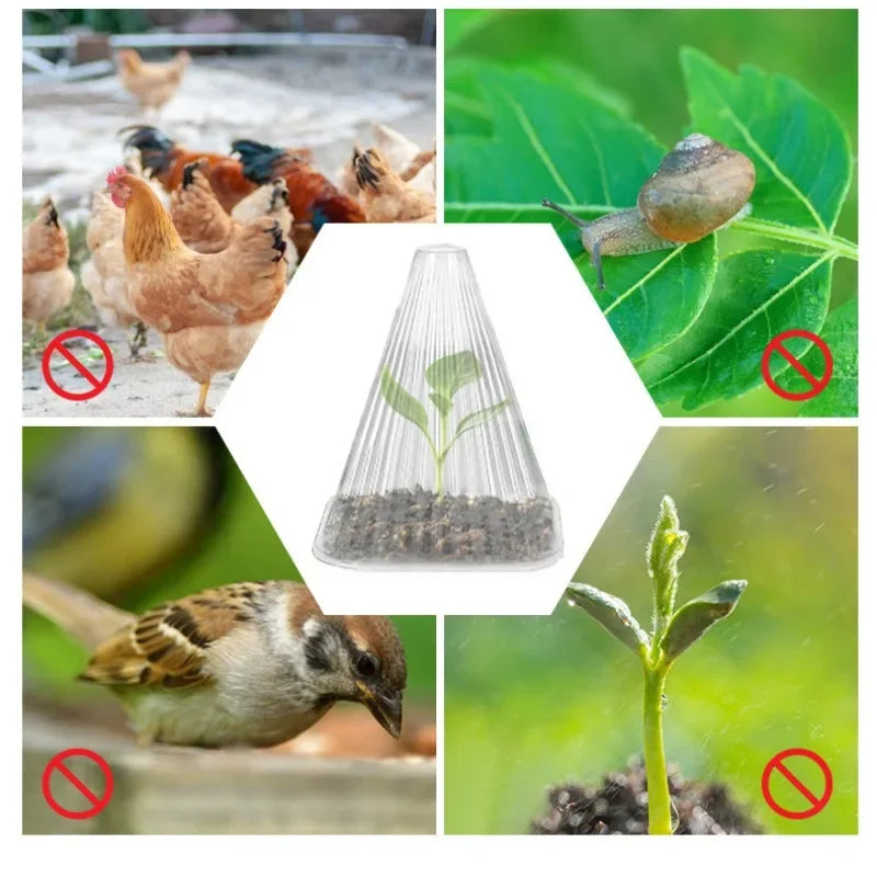 50pcs/set Reusable Plant Seedling Cover Windproof Frost Protection for Vegetable Seedlings Greenhouse Garden Plant Protector