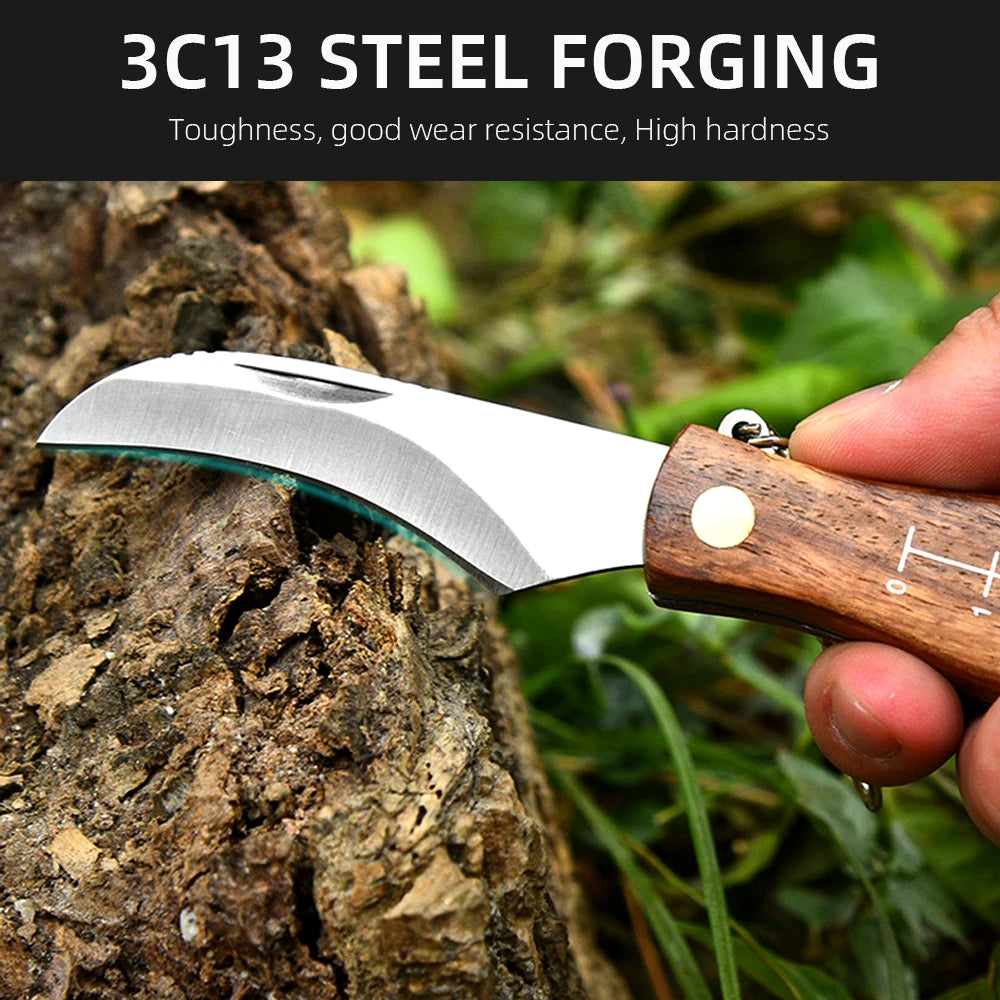 Kitchen Knives Mini Mushroom Knife Stainless Steel Wooden Handle with Keychain Brush Sharp Multifunctional Folding Knife Brush