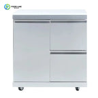 Customized Premium Outdoor Kitchen Garden with Sink Grill Island Durable Modular Stainless Steel Refrigerator Cabinet