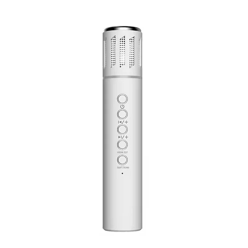 2-in-1 Karaoke Wireless Microphone & Bluetooth Speaker