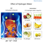 Electric Water Filter Hydrogen Generator Hydrogen Rich Antioxidants Bo