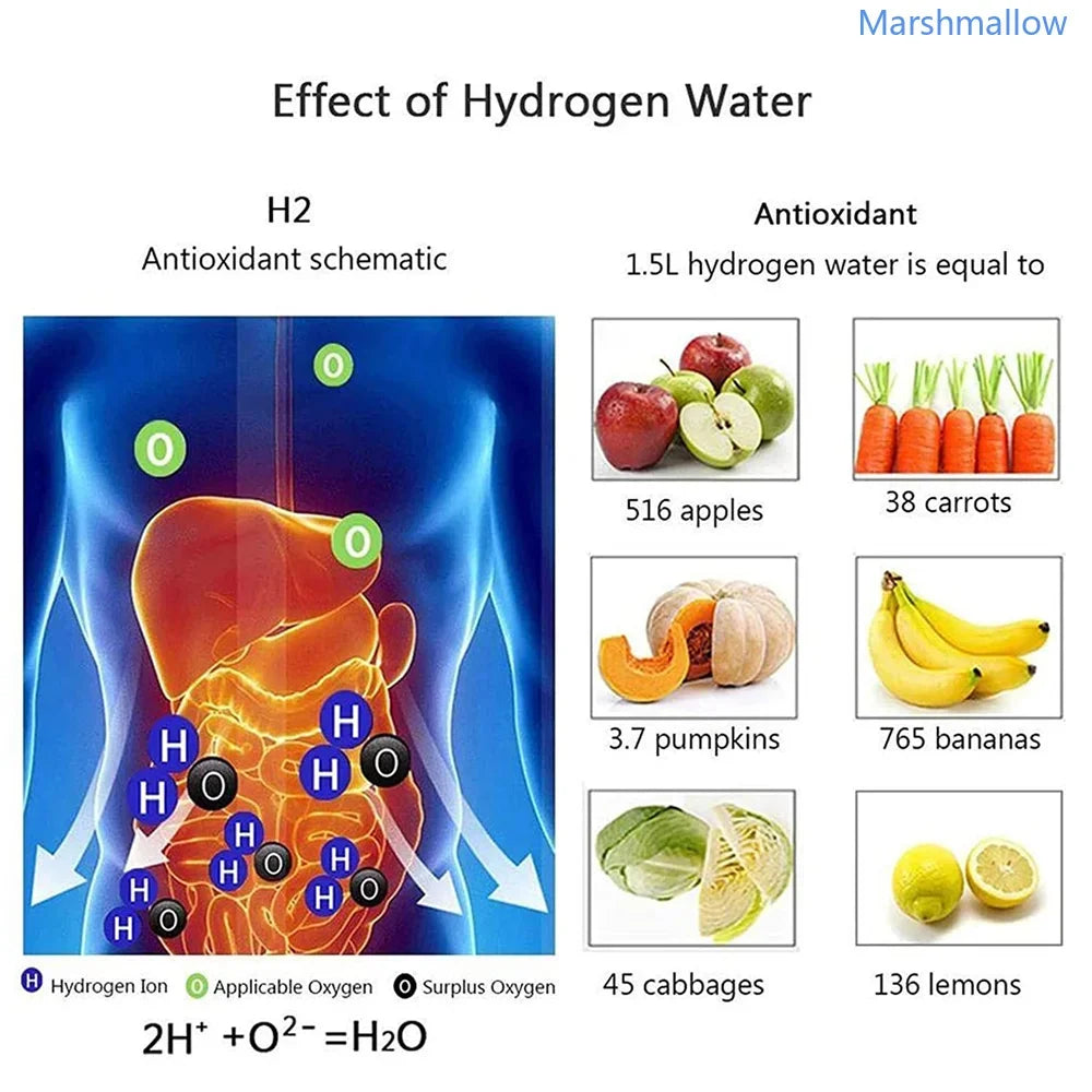 Electric Water Filter Hydrogen Generator Hydrogen Rich Antioxidants Bo