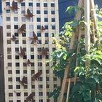 15 Pcs Rustic Metal Butterfly Outdoor Wall Art Decor Rusty Metal Garden Decor for Garden Fence Yard
