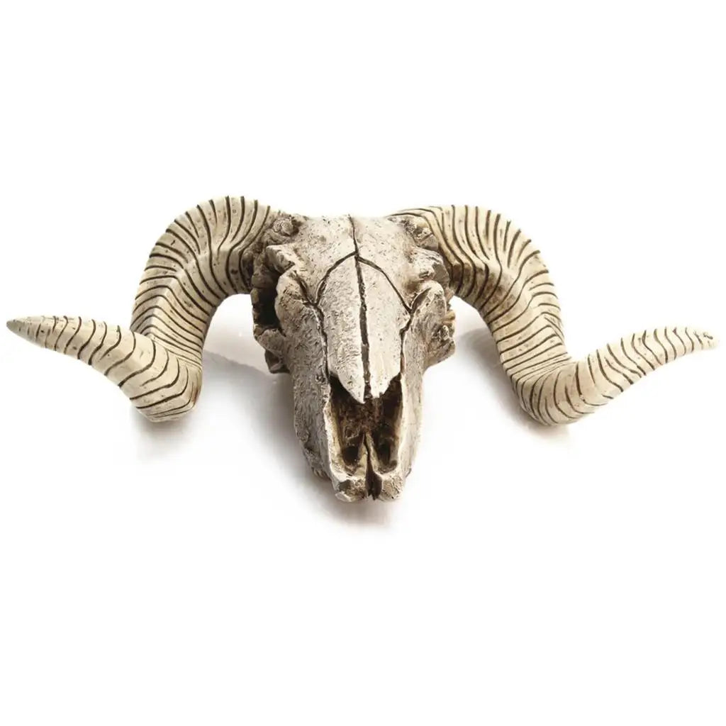 Vintage Sheep Head Skeleton Wall Hanging Resin Crafts Christmas Decoration Festival Sheep Horn Animal Head Wall Hanging Decor