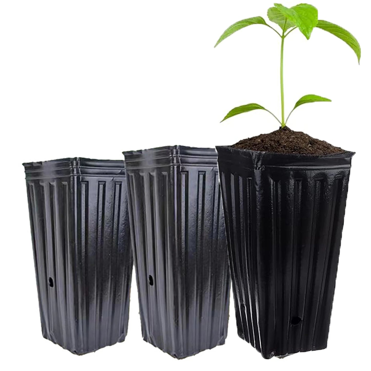 20pcs Tall Deep Tree Pots, Plant Nursery Tall Flower Plant Containers Starting Pots Plant Seedling Nursery Pots for Outdoor Gard