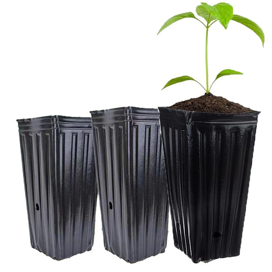 20pcs Tall Deep Tree Pots, Plant Nursery Tall Flower Plant Containers Starting Pots Plant Seedling Nursery Pots for Outdoor Gard