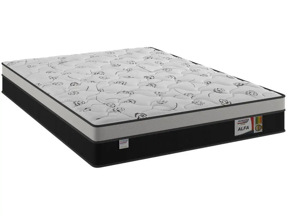 Queen Plumatex Mattress of Bumled Springs