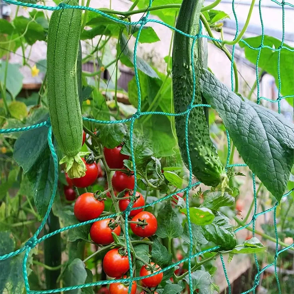 1-3PCS Anti Bird Protection Plant Climbing Net Garden Plant Trellis Netting for Loofah Morning Glory Flowers Cucumber Grape Vine