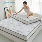 New Class A Knitted Embroidery Latex Mattress with Memory Foam and High Density Support for a Comfortable Sleep Tatami Mat