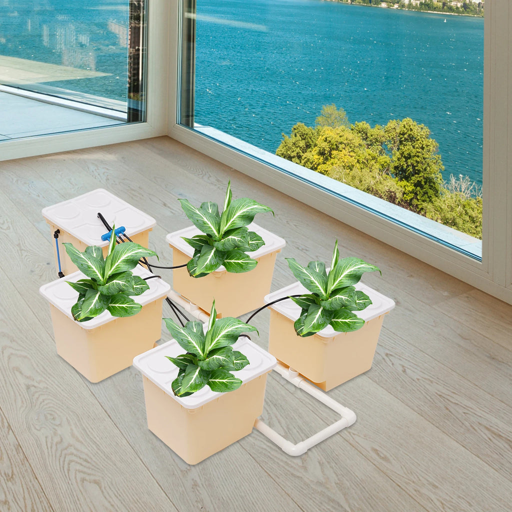 Hydroponic System 2.91 Gallon Deep Water Culture Hydroponics Growing System Kit Set of 5 Buckets Garden Plant Box with Pump