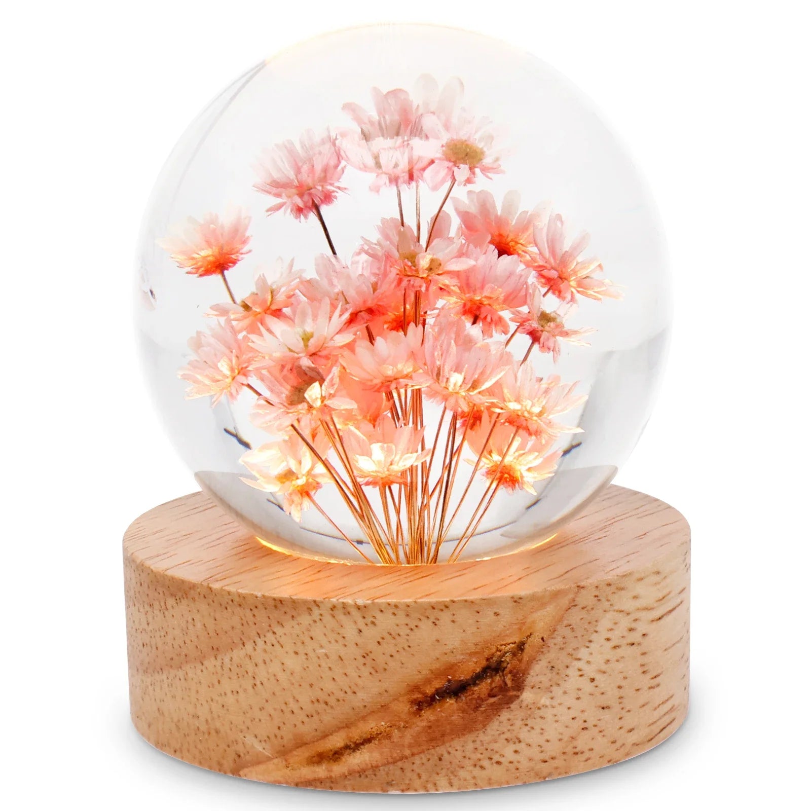 3D Dandelion Crystal Ball LED Night Light with Beech Wood Stand Preserved Flower Sphere Ball Resin Craft Home Decor Bithday Gift