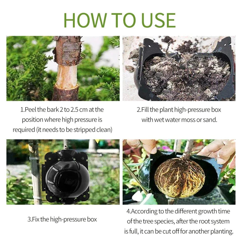 1/3/6/9Pcs Plant Rooting Ball Transplant Nursery Ball Sapling Propagation Grafting Breeding Case for Home Gardening Tools