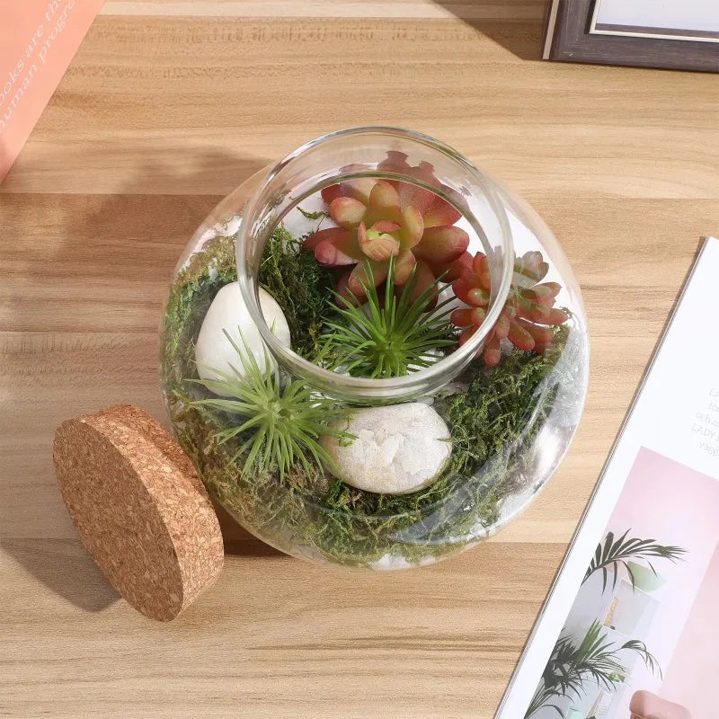 Micro Landscape Ecological Bottle Terrarium Jar Large Kit Moss Plant Drink Containers Fish Tank Planter Home Decor Glass